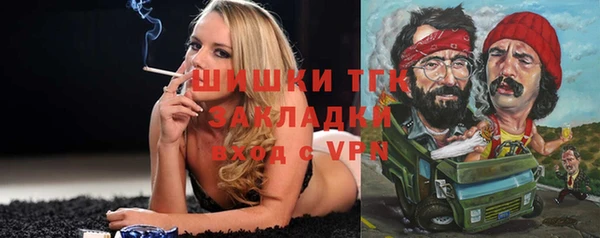 гашик Алзамай