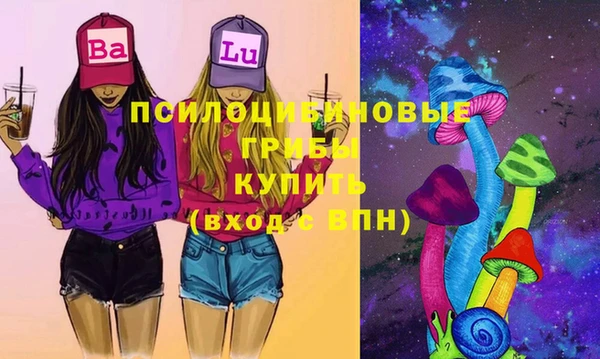 не бодяженный Алексин