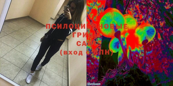 СК Алексеевка