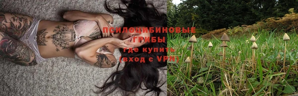 гашик Алзамай