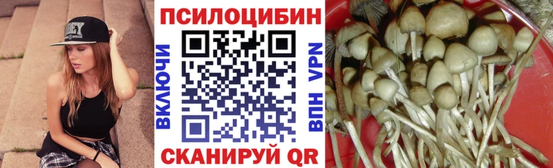 Псилоцибиновые грибы прущие грибы  Истра 