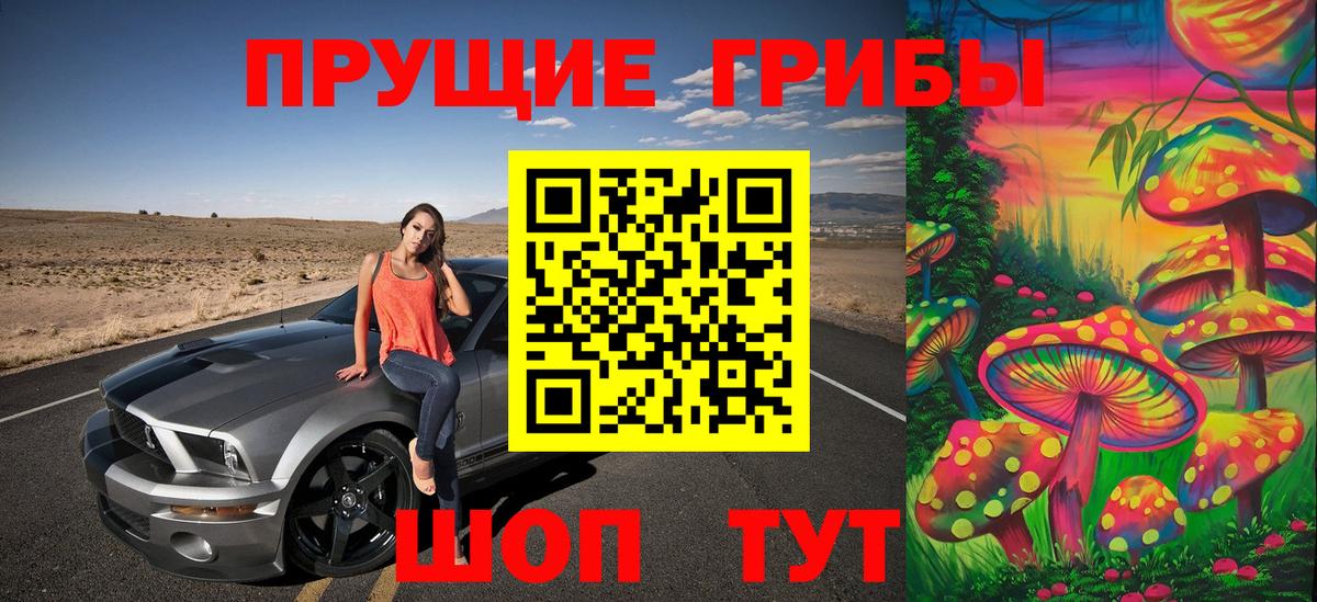 Истра  Псилоцибиновые грибы GOLDEN TEACHER  Вход с VPN 