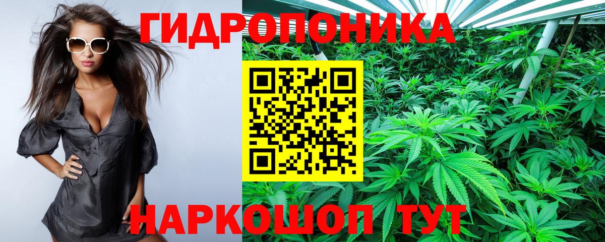 Шишки марихуана конопля  Шишки марихуана гибрид  Бошки Шишки планчик  Вход с VPN  Бошки марихуана MAZAR  Истра 