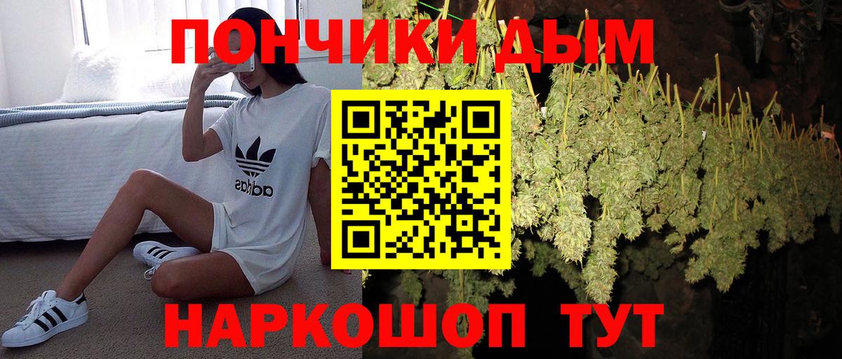 Шишки марихуана сатива Истра